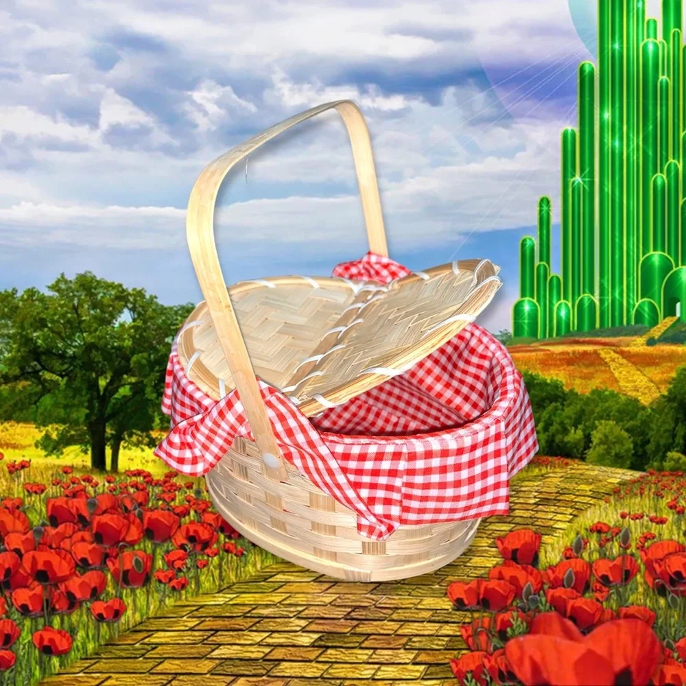 KIDS WIZARD OF OZ DORTHY DRESS HALLOWEEN COSTUME